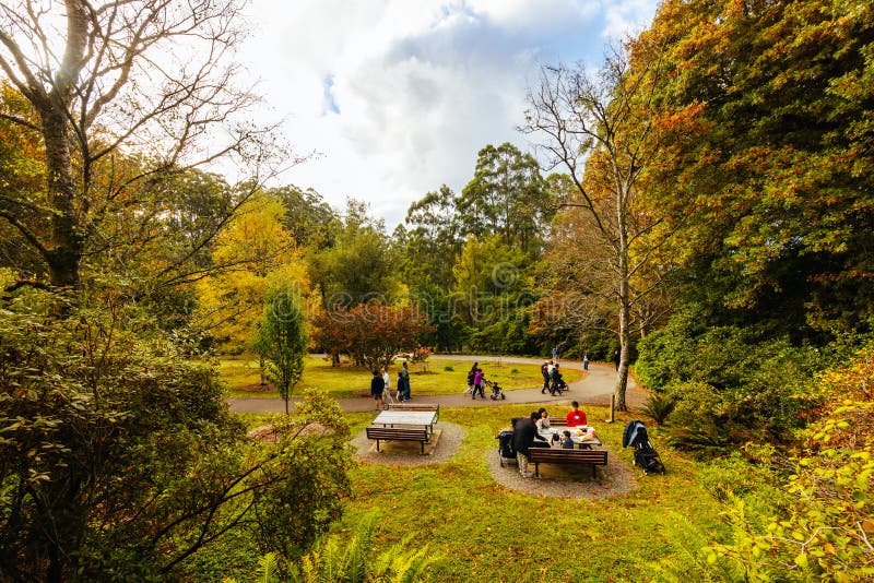 A late autumn afternoon in Dandenong Ranges Botanic Garden in Olinda, Victoria Australia. A late autumn afternoon in Dandenong Ranges Botanic Garden in Olinda, Victoria Australia