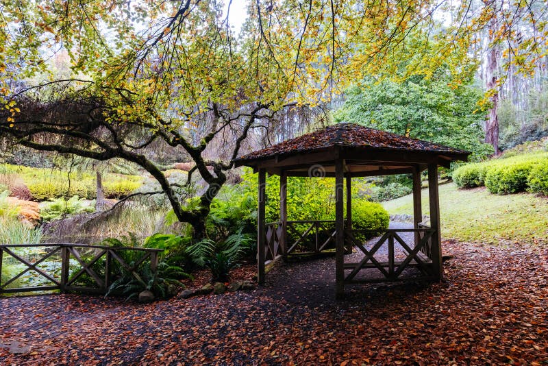 A late autumn afternoon in Dandenong Ranges Botanic Garden in Olinda, Victoria Australia. A late autumn afternoon in Dandenong Ranges Botanic Garden in Olinda, Victoria Australia