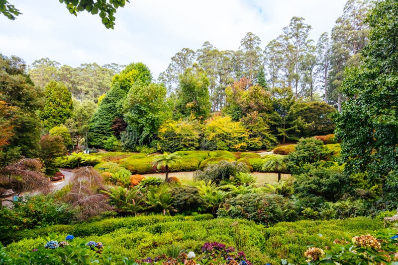 A late autumn afternoon in Dandenong Ranges Botanic Garden in Olinda, Victoria Australia. A late autumn afternoon in Dandenong Ranges Botanic Garden in Olinda, Victoria Australia