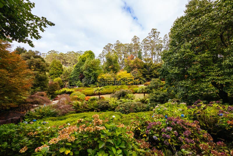A late autumn afternoon in Dandenong Ranges Botanic Garden in Olinda, Victoria Australia. A late autumn afternoon in Dandenong Ranges Botanic Garden in Olinda, Victoria Australia