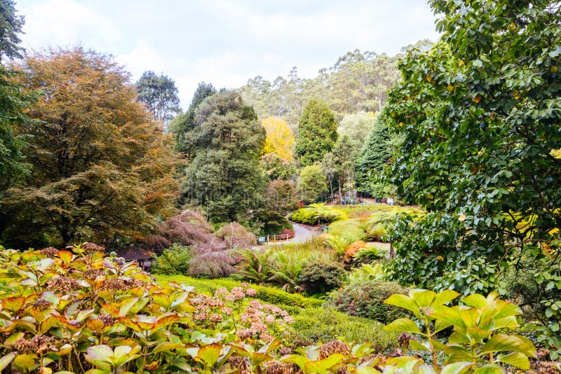 A late autumn afternoon in Dandenong Ranges Botanic Garden in Olinda, Victoria Australia. A late autumn afternoon in Dandenong Ranges Botanic Garden in Olinda, Victoria Australia