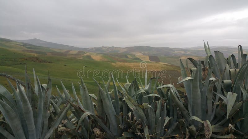 Βουνά και πόλης περιοχή fes, Μαρόκο στοκ εικόνες με δικαίωμα ελεύθερης χρήσης Βουνά και πόλης περιοχή fes, Μαρόκο στοκ εικόνες με δικαίωμα ελεύθερης χρήσης