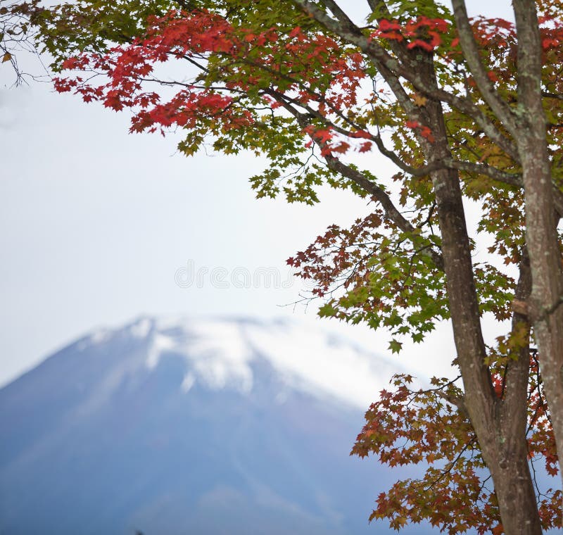 Βουνό Fuji στοκ εικόνες