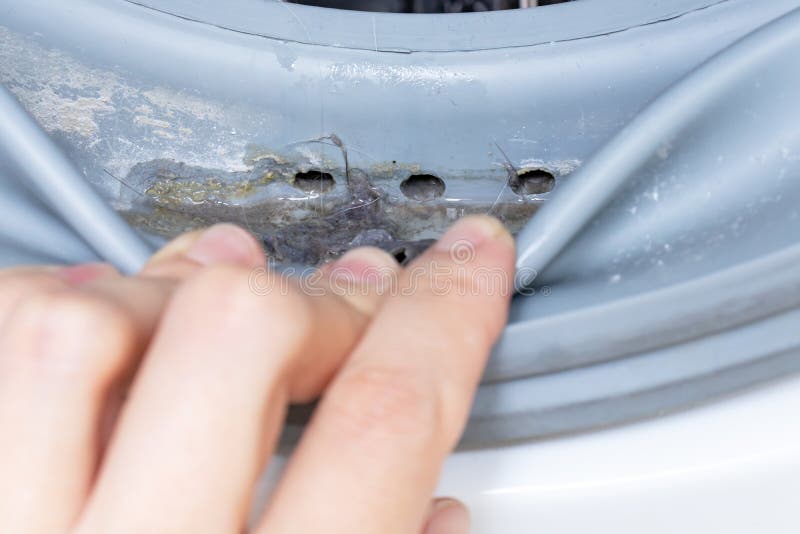 Βρώμικα moldy σφραγίζοντας λάστιχο και τύμπανο πλυντηρίων κοντά επάνω Φόρμα, ρύπος και limescale στο πλυντήριο Εγχώριες συσκευές στοκ φωτογραφία Βρώμικα moldy σφραγίζοντας λάστιχο και τύμπανο πλυντηρίων κοντά επάνω Φόρμα, ρύπος και limescale στο πλυντήριο Εγχώριες συσκευές στοκ φωτογραφία