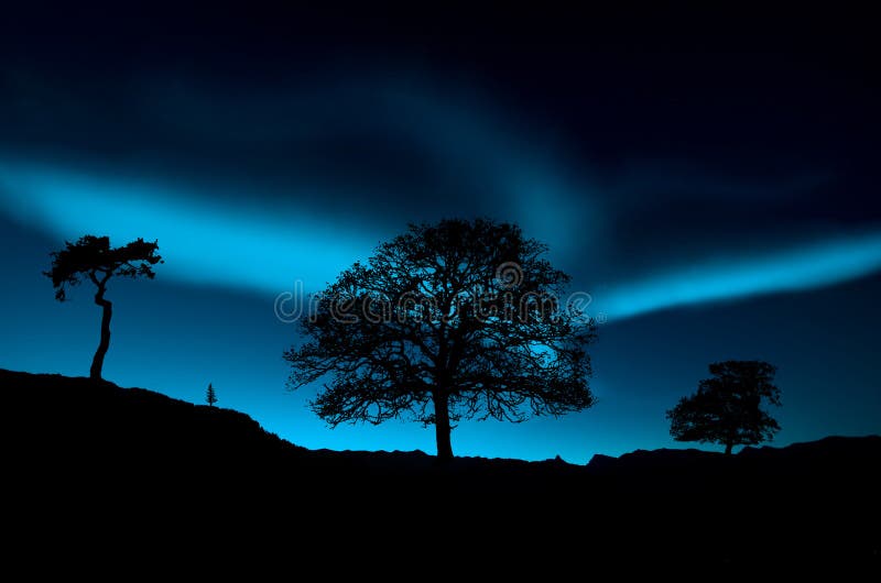 Amazing northern lights at night. Amazing northern lights at night