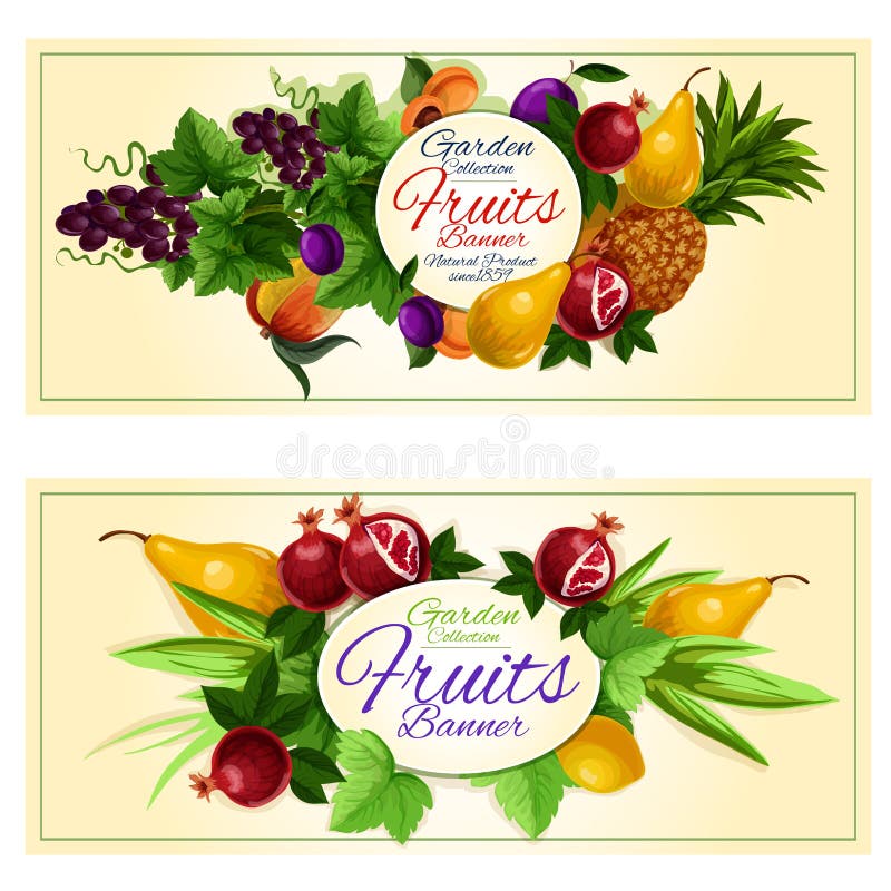 Sweet summer fruits banners set of fresh peach, grape, pineapple, lemon, plum, pear, apricot and pomegranate fruits with green leaves and tendrils of grapevine. Sweet summer fruits banners set of fresh peach, grape, pineapple, lemon, plum, pear, apricot and pomegranate fruits with green leaves and tendrils of grapevine