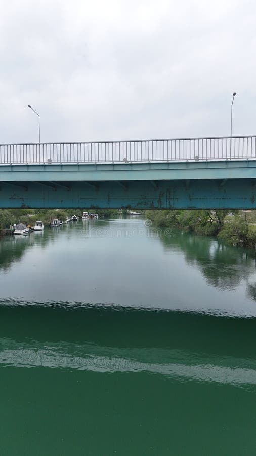Γέφυρα ποτάμιων δέντρων στοκ φωτογραφία με δικαίωμα ελεύθερης χρήσης