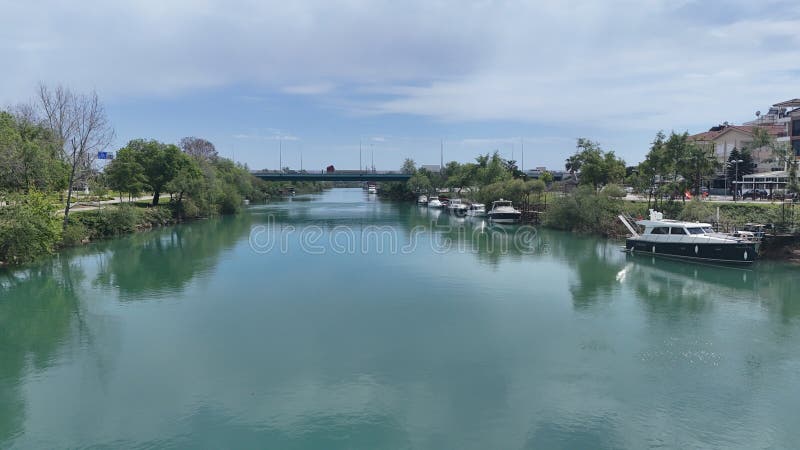 Γέφυρα ποτάμιων δέντρων στοκ εικόνα