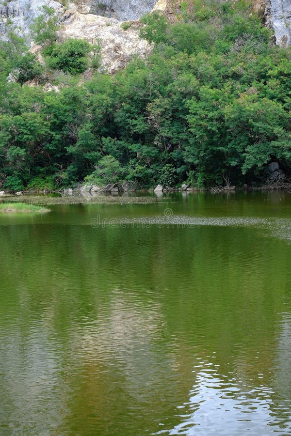 Γαλαξίας σε φυσικό πάρκο στοκ εικόνες με δικαίωμα ελεύθερης χρήσης