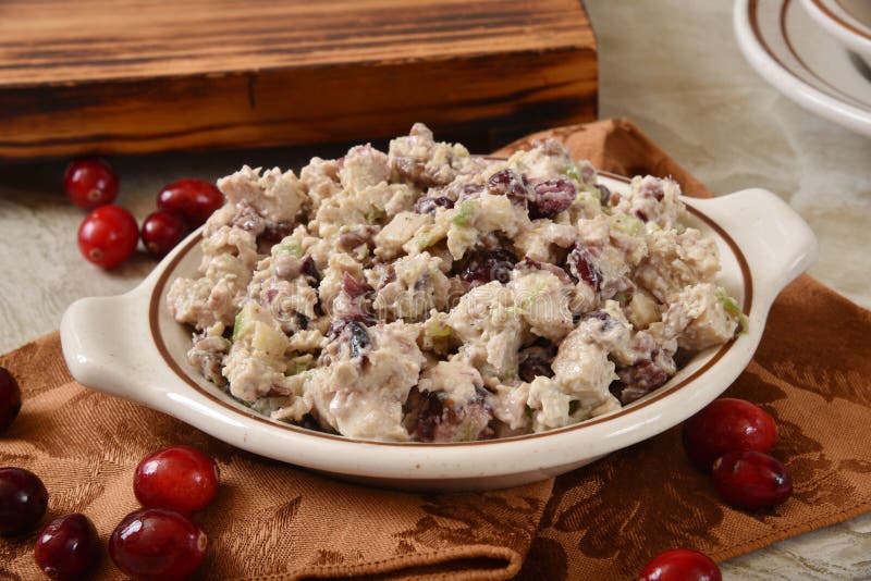 A bowl of homemade turkey, cranberry, apple salad with fresh cranberries and pecans. A bowl of homemade turkey, cranberry, apple salad with fresh cranberries and pecans