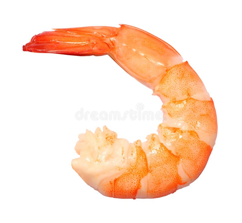 A cooked shrimp on white background. A cooked shrimp on white background