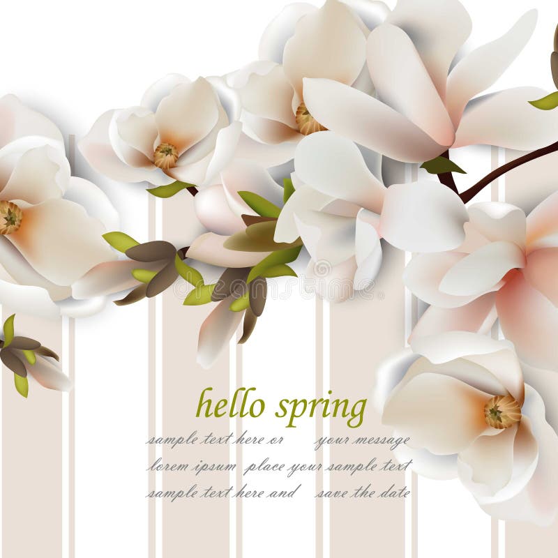 Γειά σου κάρτα άνοιξη με τα λουλούδια magnolia Εκλεκτής ποιότητας διανυσματικά ρεαλιστικά υπόβαθρα διανυσματική απεικόνιση Γειά σου κάρτα άνοιξη με τα λουλούδια magnolia Εκλεκτής ποιότητας διανυσματικά ρεαλιστικά υπόβαθρα διανυσματική απεικόνιση