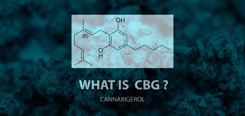 Γενικό cannabinoid - cannabigerol CBG Geranyl pyrophosphate και οξύ Olivetolic στους οφθαλμούς μαριχουάνα διανυσματική απεικόνιση Γενικό cannabinoid - cannabigerol CBG Geranyl pyrophosphate και οξύ Olivetolic στους οφθαλμούς μαριχουάνα διανυσματική απεικόνιση