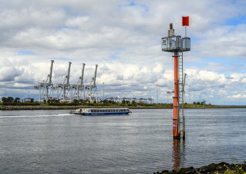Γερανοί στον ποταμό Yarra στοκ εικόνες