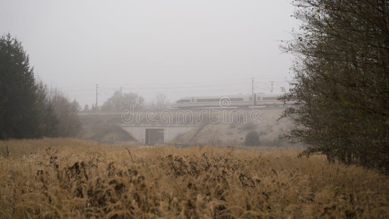 γερμανικό τρένο πάγου που οδηγεί μέσα από ομίχλη δάσος. ένα τρένο πάγου σε μια ομίχλη μέρα στο ντένκενντορφ γερμανία