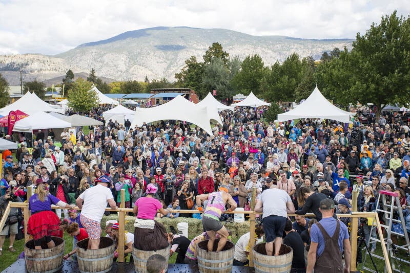 October 1, 2017 - Oliver, British Columbia, Canada: Visting attendees celebrating at the annual Festival of the Grape located in Oliver, British Columbia, Canada. The Grape Stomp is one of the popular events. October 1, 2017 - Oliver, British Columbia, Canada: Visting attendees celebrating at the annual Festival of the Grape located in Oliver, British Columbia, Canada. The Grape Stomp is one of the popular events