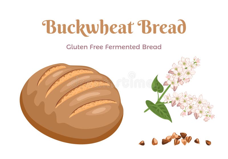 Gluten Free Buckwheat Bread Isolated on white background. Fresh pastries, flowering buckwheat and heap of grain. Vector baking illustration in cartoon simple flat style. Healthy food concept. Gluten Free Buckwheat Bread Isolated on white background. Fresh pastries, flowering buckwheat and heap of grain. Vector baking illustration in cartoon simple flat style. Healthy food concept.