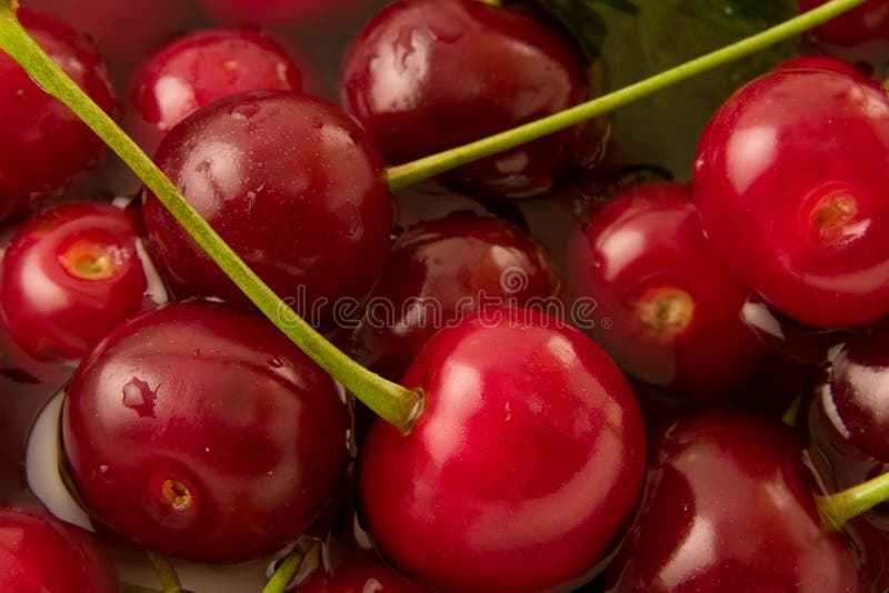 Sweet cherries and drops of water. Sweet cherries and drops of water