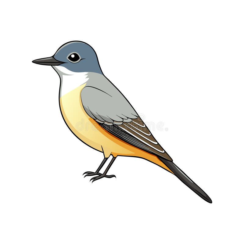 Γοητευτική σχεδίαση κασίνων Kingbird απεικόνιση αποθεμάτων