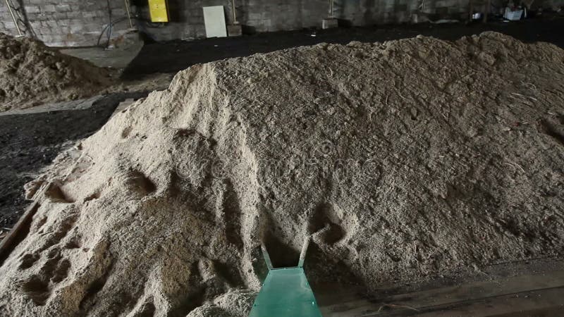 Γραμμή παραγωγής του ξύλινου δαπέδου απόθεμα βίντεο