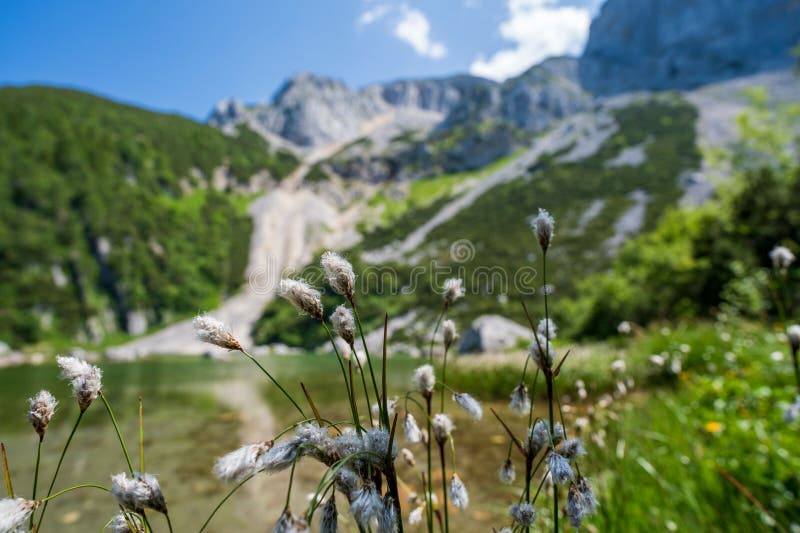 Γραφική άποψη της λίμνης Feichtausee και του Hoher Nock στοκ φωτογραφία