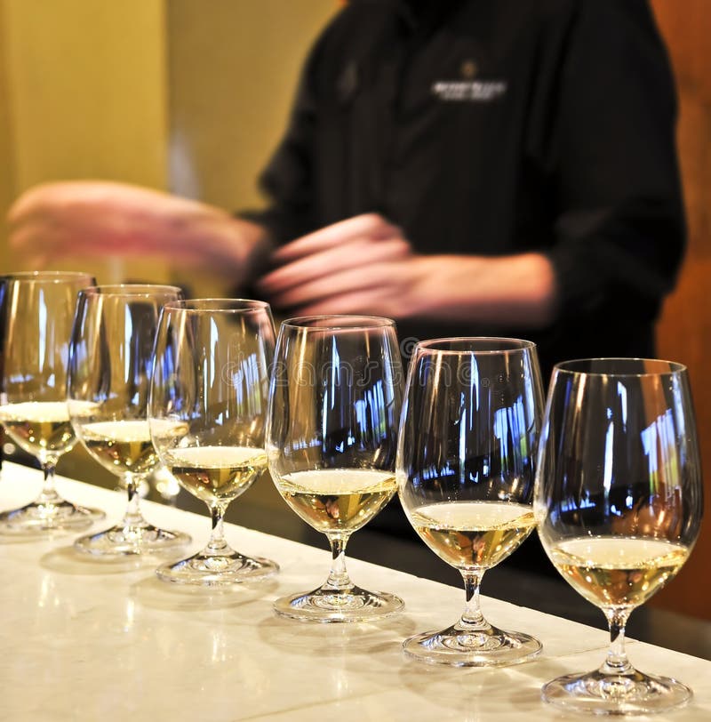 Row of white wine glasses in winery tasting event. Row of white wine glasses in winery tasting event