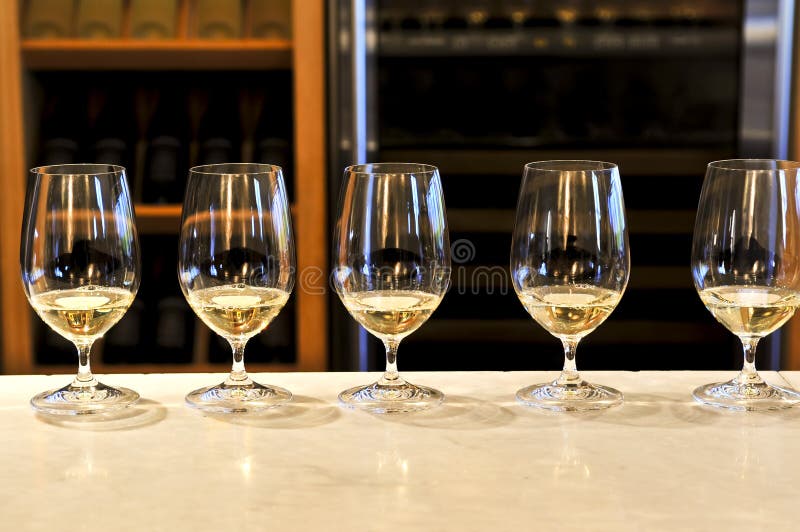 Row of white wine glasses in winery tasting event. Row of white wine glasses in winery tasting event
