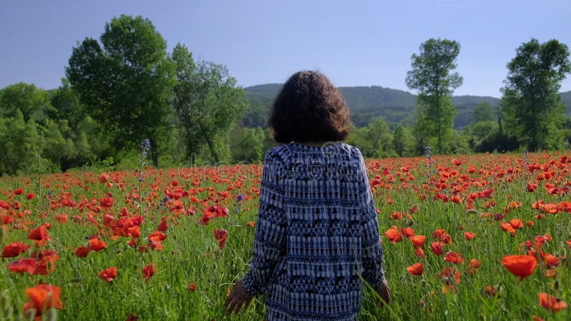 γυναίκα καστανή μελαχρινή μεταξύ κόκκινων παππούδων