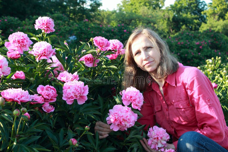 Γυναίκα κοντά σε έναν θάμνο peonies στοκ εικόνες