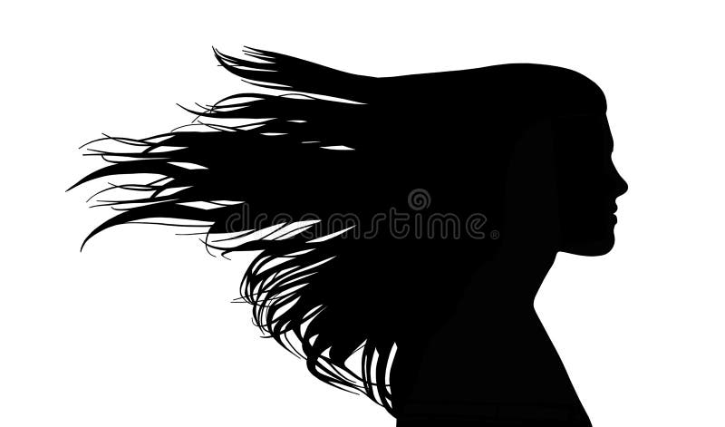 Profile of a young beautiful woman with long strait hair waving in the wind. Profile of a young beautiful woman with long strait hair waving in the wind