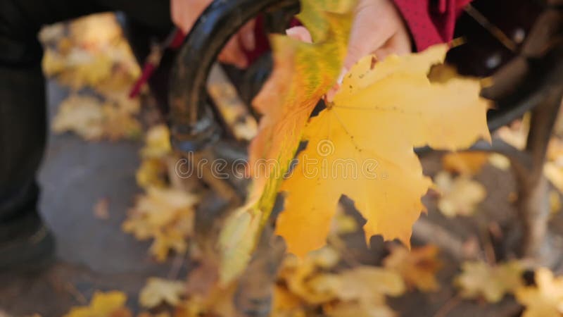 Γυναίκα που κρατά πολύχρωμα φθινοπωρινά φύλλα σε παγκάκι