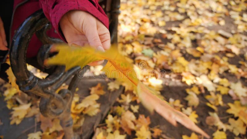 γυναίκα χέρι που κρατά πολύχρωμο φθινοπωρινό φύλλο κοντά