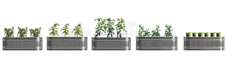 3δ απεικόνιση σετ λαχανικών - μεταλλικό φυτό απομονωμένο σε λευκό πριμοδότηση