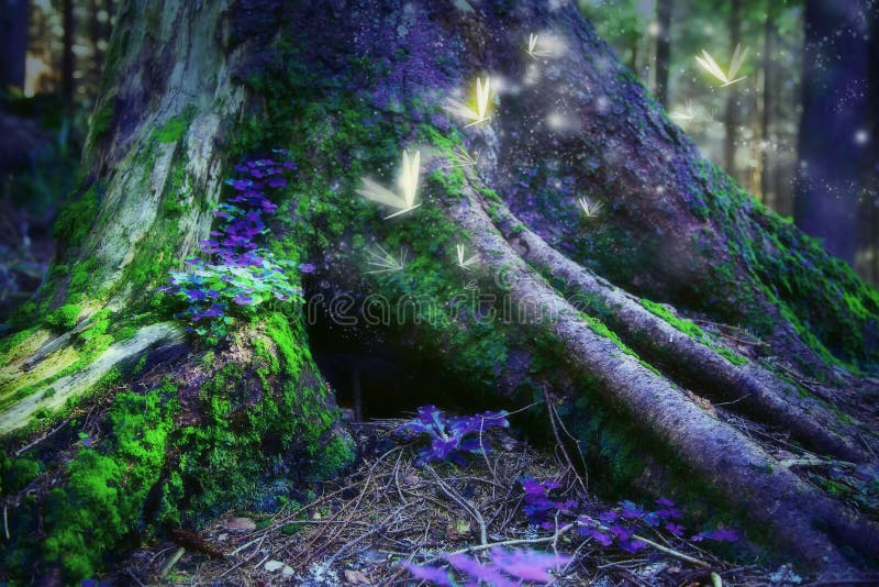 Δάσος Enchanted με τα μαγικά fireflies στοκ εικόνα με δικαίωμα ελεύθερης χρήσης