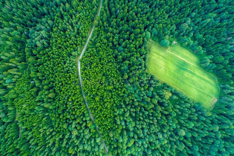 Δάσος από μια πανοραμική θέα στο spring_1 στοκ φωτογραφία Δάσος από μια πανοραμική θέα στο spring_1 στοκ φωτογραφία