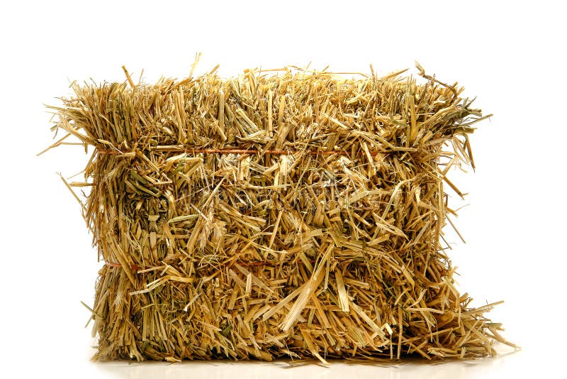 Bale of tied natural farming straw hay on white. Bale of tied natural farming straw hay on white