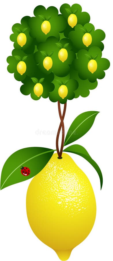 Δέντρο λεμονιών σε ένα λεμόνι