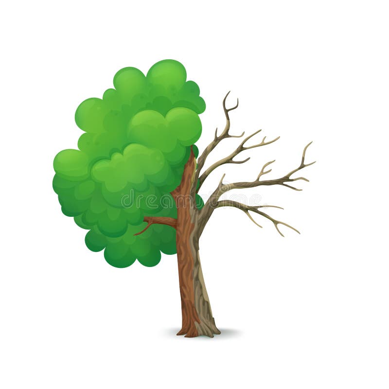 Cartoon tree split in half isolated on a white background. Healthy part with lush green leaves and dry, dying leafless part with cracked bark. Cartoon tree split in half isolated on a white background. Healthy part with lush green leaves and dry, dying leafless part with cracked bark