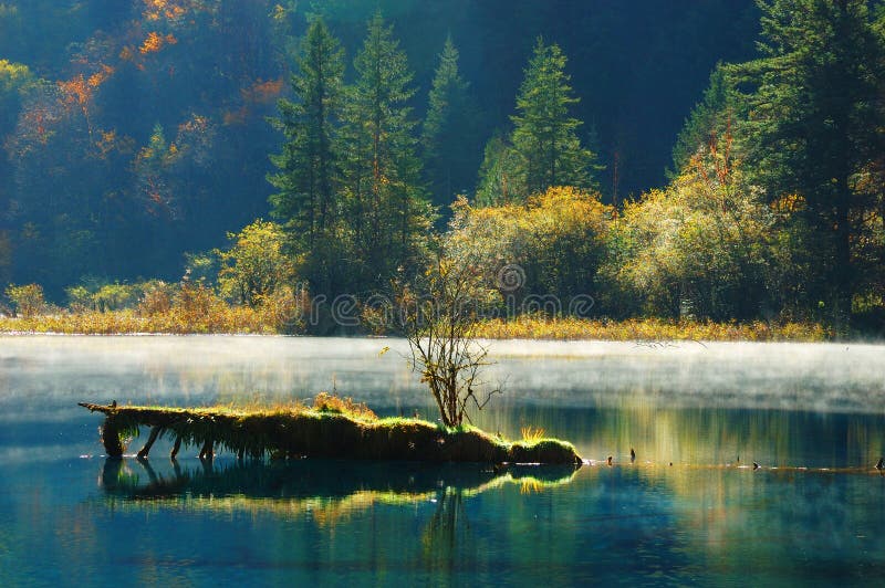 δέντρο λιμνών jiuzhaigou φθινοπώρου στοκ φωτογραφία