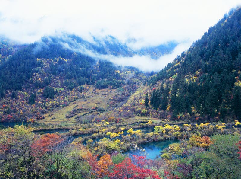δέντρο λιμνών jiuzhaigou φθινοπώρου στοκ εικόνα με δικαίωμα ελεύθερης χρήσης