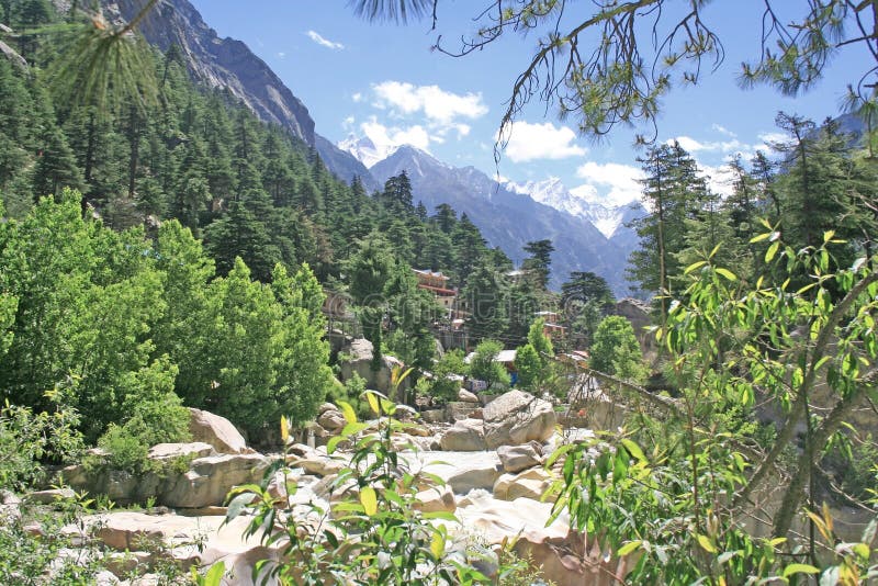 δασική κοιλάδα χιονιού αιχμών gangotri πράσινη himalayan πολύβλαστη στοκ εικόνες με δικαίωμα ελεύθερης χρήσης