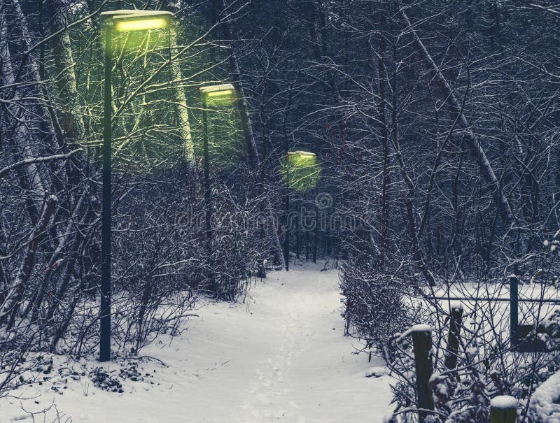 Δασικός δρόμος με αναμμένος lampposts σε μια κρύα και χιονώδη χειμερινή νύχτα