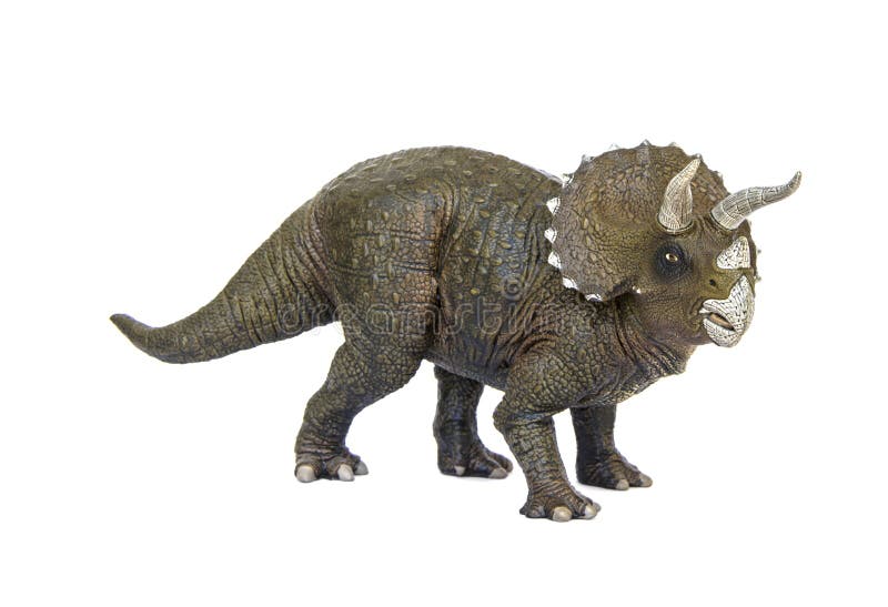 Δεινόσαυροι Triceratops στοκ εικόνες Δεινόσαυροι Triceratops στοκ εικόνες