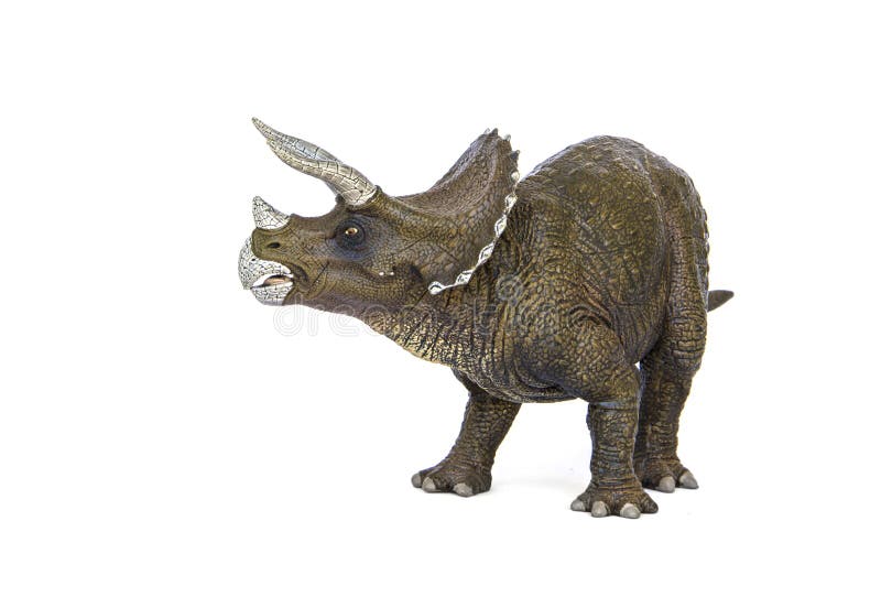 Δεινόσαυροι Triceratops στοκ εικόνες Δεινόσαυροι Triceratops στοκ εικόνες