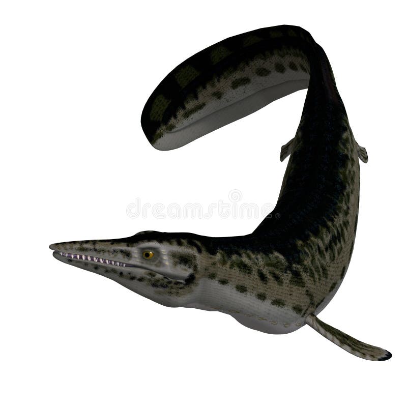 Underwater dinosaur Mosasaur. 3D render with clipping path and shadow over white. Underwater dinosaur Mosasaur. 3D render with clipping path and shadow over white