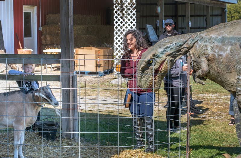 September 28 2018, three oaks Michigan USA; it looks like a dinosaur is checking out a goat for a lunch time snack, but it`s actually a person inside a fun dino costume. September 28 2018, three oaks Michigan USA; it looks like a dinosaur is checking out a goat for a lunch time snack, but it`s actually a person inside a fun dino costume