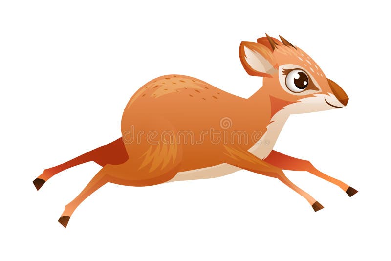 δημιουργία καφέ dikdik ως αφρικανική μικρή αντιλόπη με απεικόνιση φορέα κέρατος ελεύθερη απεικόνιση δικαιώματος