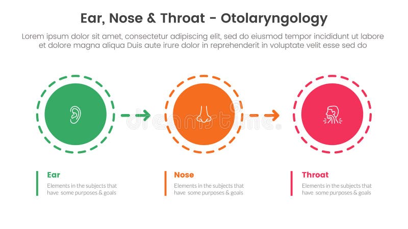 ent health treatment disease infographic 3 point stage template with circle and arrow right direction for slide presentation vector. ent health treatment disease infographic 3 point stage template with circle and arrow right direction for slide presentation vector