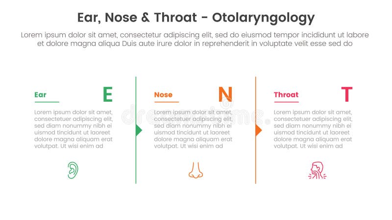 ent health treatment disease infographic 3 point stage template with column separation with arrow outline for slide presentation vector. ent health treatment disease infographic 3 point stage template with column separation with arrow outline for slide presentation vector