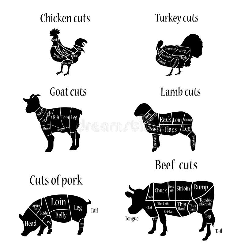 Vector illustration turkey, lamb goat chicken cow and pork cuts diagramm or chart. Vector illustration turkey, lamb goat chicken cow and pork cuts diagramm or chart.